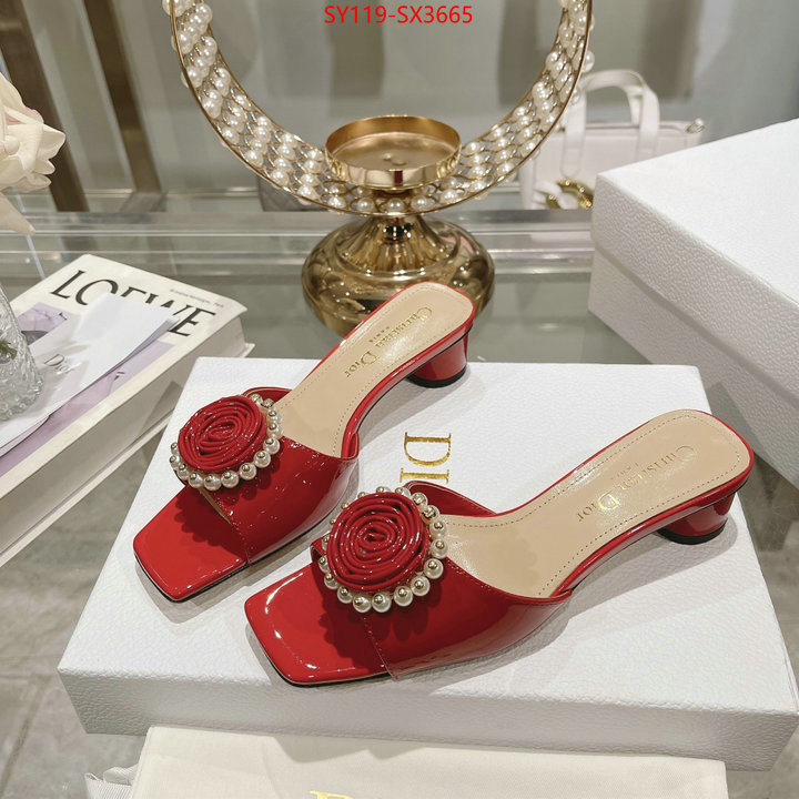 Women Shoes-Dior outlet sale store ID: SX3665 $: 119USD