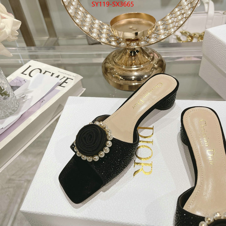 Women Shoes-Dior outlet sale store ID: SX3665 $: 119USD