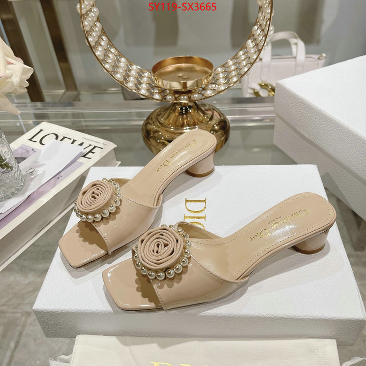 Women Shoes-Dior outlet sale store ID: SX3665 $: 119USD