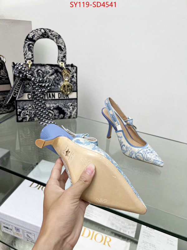 Women Shoes-Dior buy high-quality fake ID: SD4541 $: 119USD