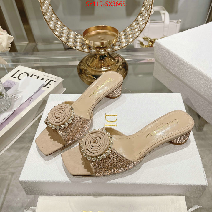 Women Shoes-Dior outlet sale store ID: SX3665 $: 119USD