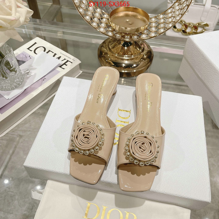 Women Shoes-Dior outlet sale store ID: SX3665 $: 119USD