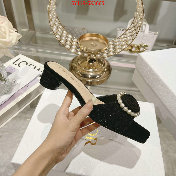 Women Shoes-Dior outlet sale store ID: SX3665 $: 119USD