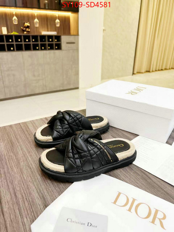 Women Shoes-Dior replicas buy special ID: SD4581 $: 109USD