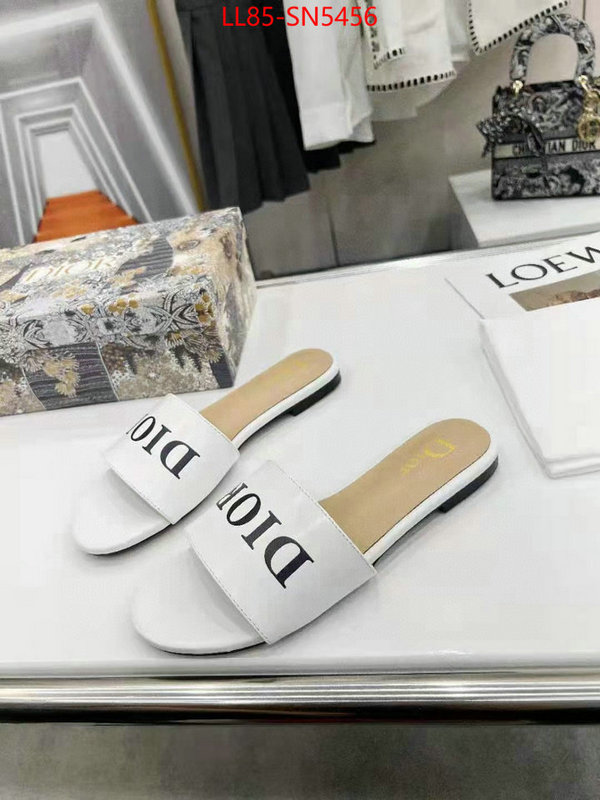 Women Shoes-Dior sale ID: SN5456 $: 85USD