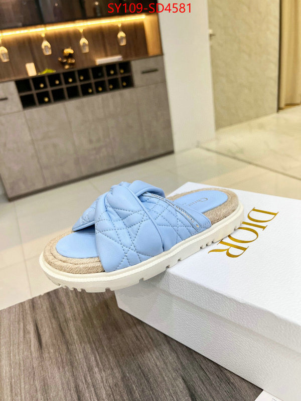 Women Shoes-Dior replicas buy special ID: SD4581 $: 109USD