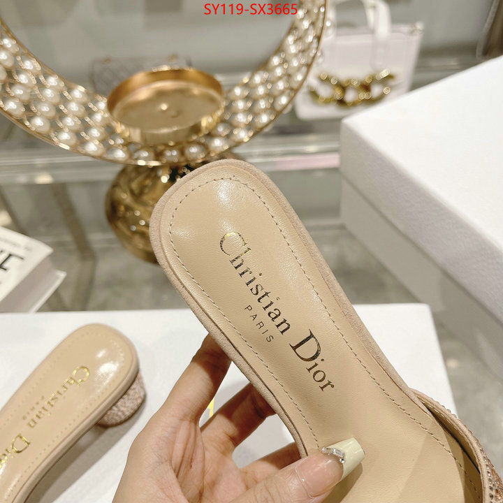 Women Shoes-Dior outlet sale store ID: SX3665 $: 119USD