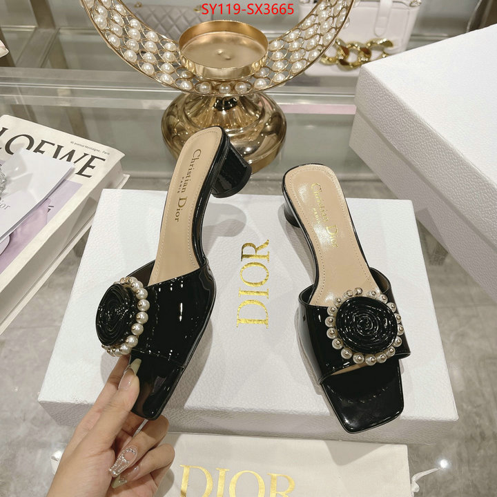 Women Shoes-Dior outlet sale store ID: SX3665 $: 119USD