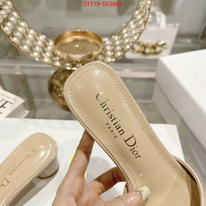 Women Shoes-Dior outlet sale store ID: SX3665 $: 119USD