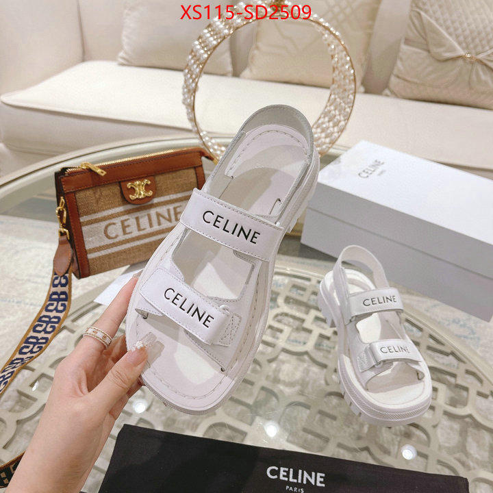 Women Shoes-CELINE replica sale online ID: SD2509 $: 115USD