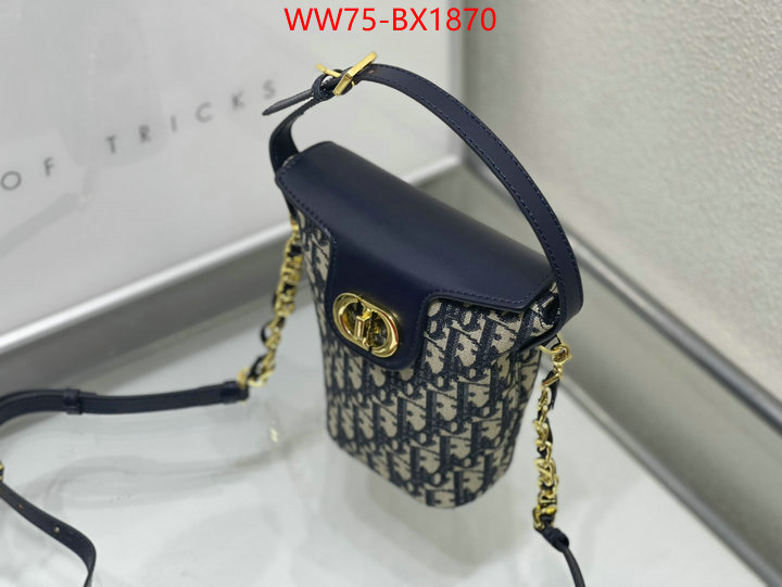 Dior Bags(4A)-Other Style- perfect quality ID: BX1870 $: 75USD,