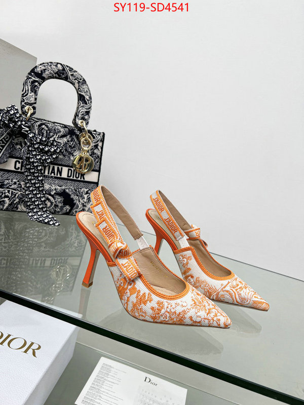 Women Shoes-Dior buy high-quality fake ID: SD4541 $: 119USD