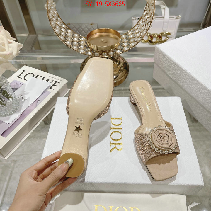 Women Shoes-Dior outlet sale store ID: SX3665 $: 119USD