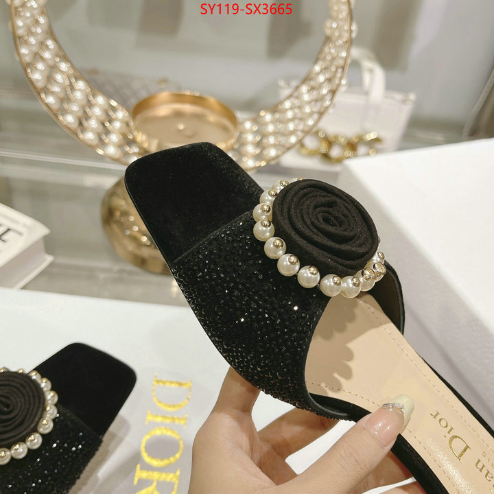 Women Shoes-Dior outlet sale store ID: SX3665 $: 119USD