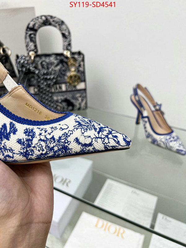 Women Shoes-Dior buy high-quality fake ID: SD4541 $: 119USD