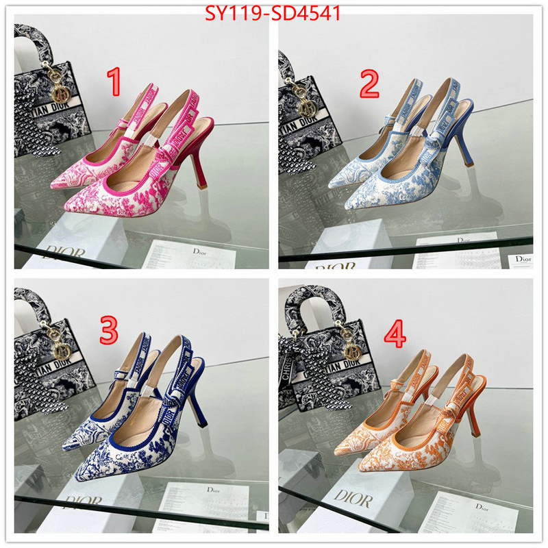 Women Shoes-Dior buy high-quality fake ID: SD4541 $: 119USD