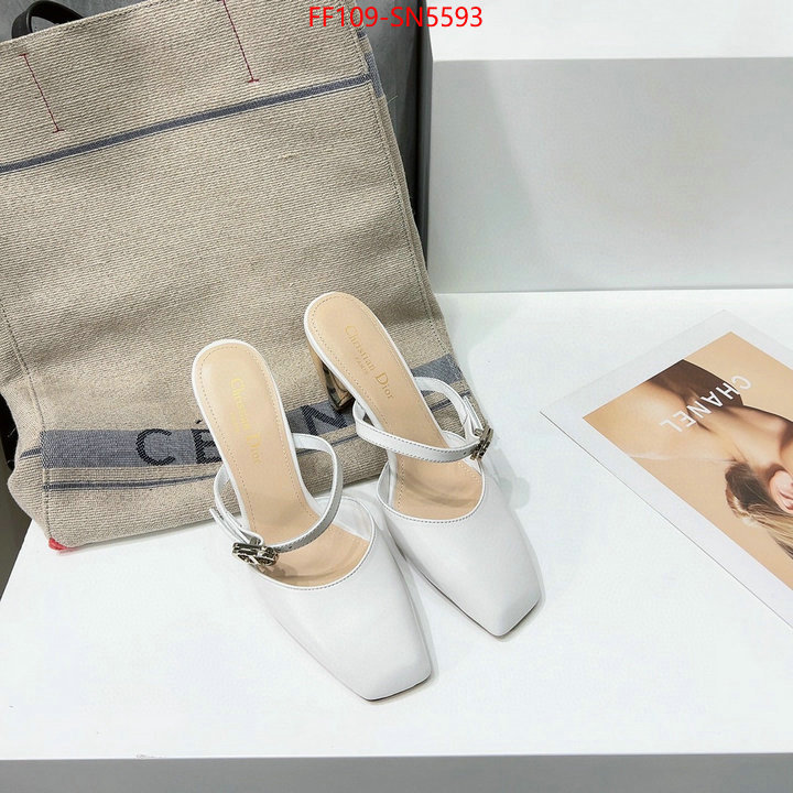 Women Shoes-Dior best quality replica ID: SN5593 $: 109USD