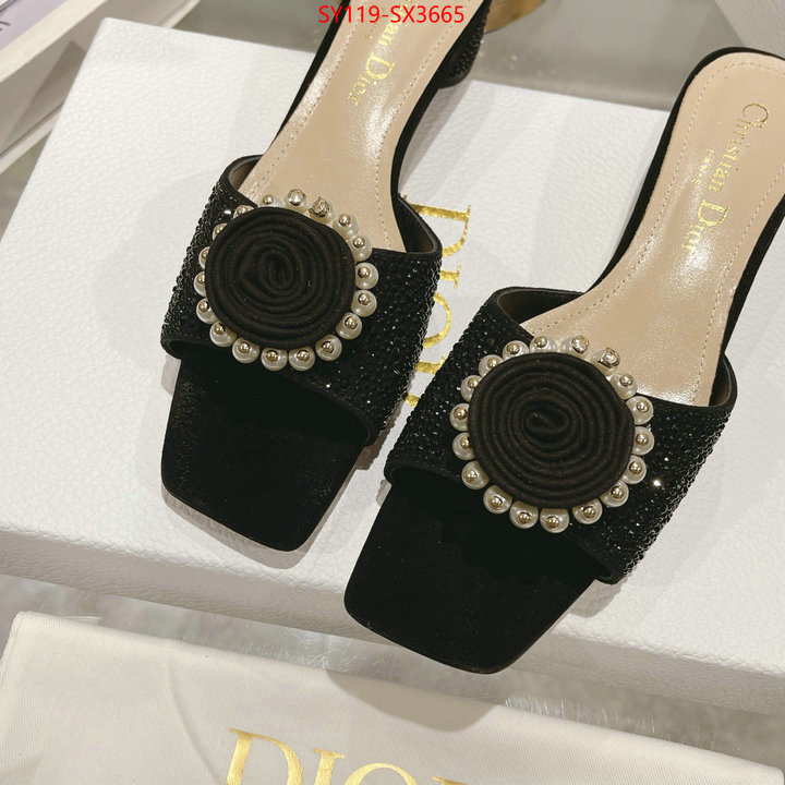 Women Shoes-Dior outlet sale store ID: SX3665 $: 119USD