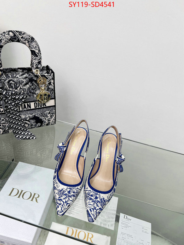 Women Shoes-Dior buy high-quality fake ID: SD4541 $: 119USD