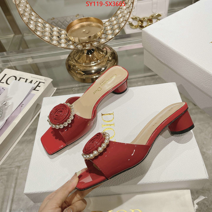 Women Shoes-Dior outlet sale store ID: SX3665 $: 119USD