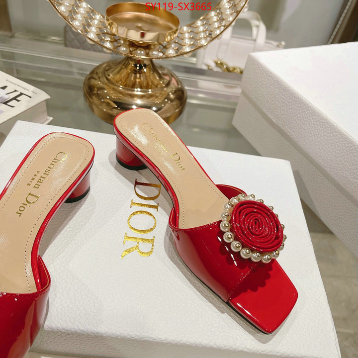 Women Shoes-Dior outlet sale store ID: SX3665 $: 119USD