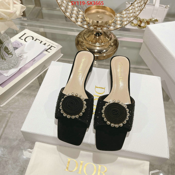 Women Shoes-Dior outlet sale store ID: SX3665 $: 119USD