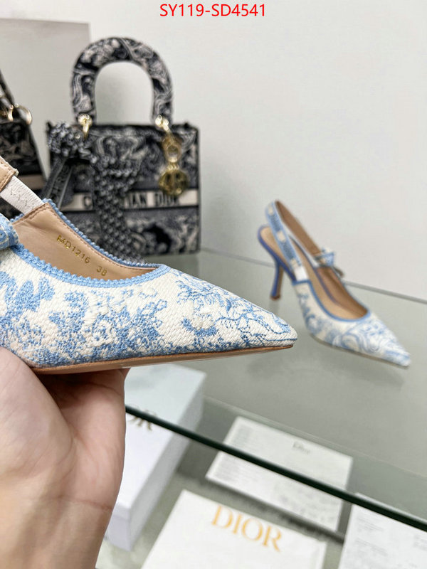 Women Shoes-Dior buy high-quality fake ID: SD4541 $: 119USD