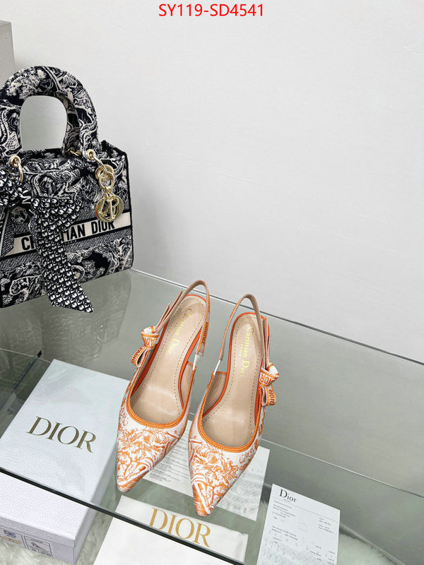 Women Shoes-Dior buy high-quality fake ID: SD4541 $: 119USD