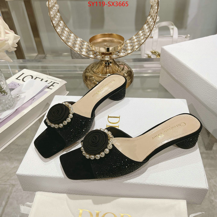 Women Shoes-Dior outlet sale store ID: SX3665 $: 119USD