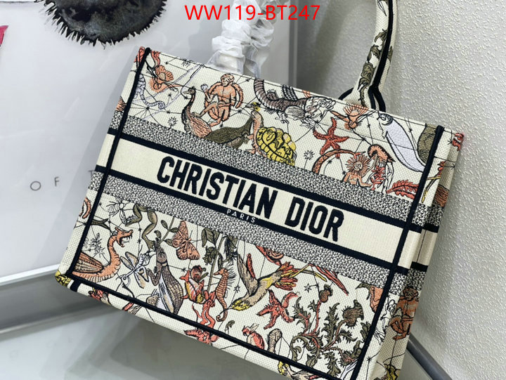 Dior Big Sale ID: BT247