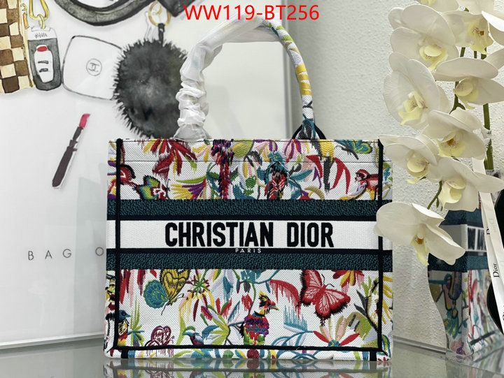 Dior Big Sale ID: BT256