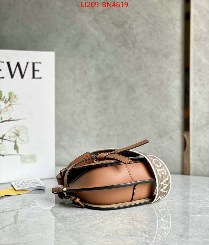 Loewe Bags(TOP)-Gate- at cheap price ID: BN4619 $: 209USD,