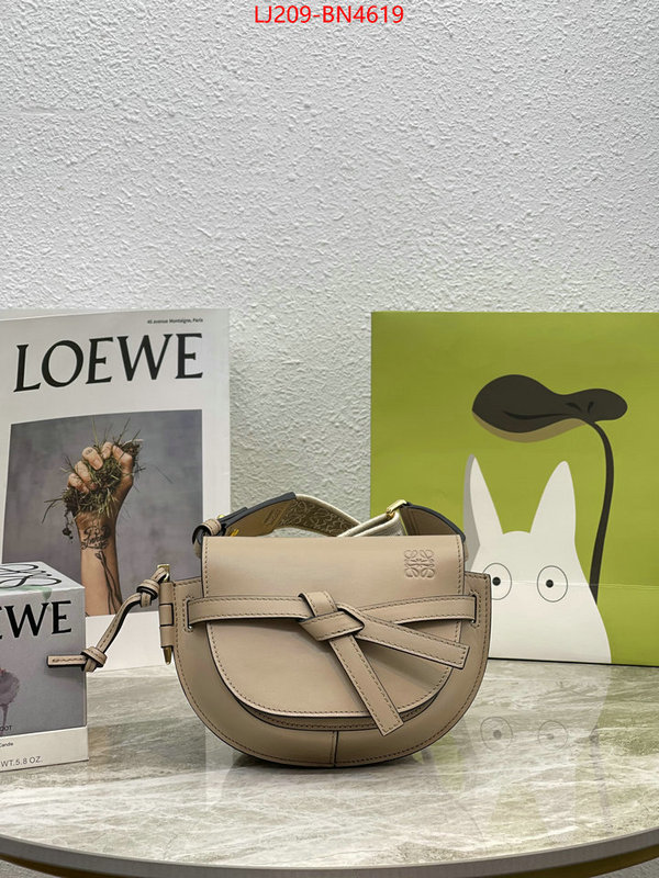 Loewe Bags(TOP)-Gate- at cheap price ID: BN4619 $: 209USD,