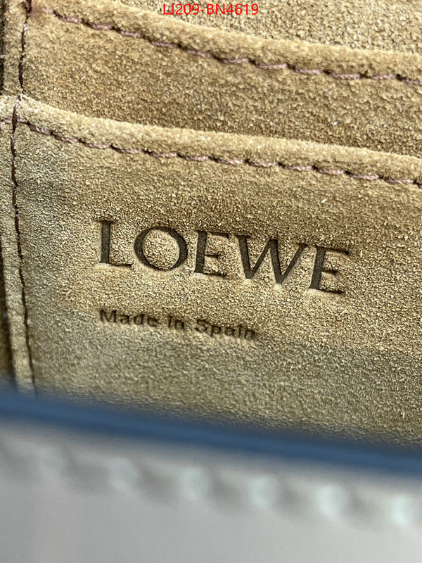 Loewe Bags(TOP)-Gate- at cheap price ID: BN4619 $: 209USD,