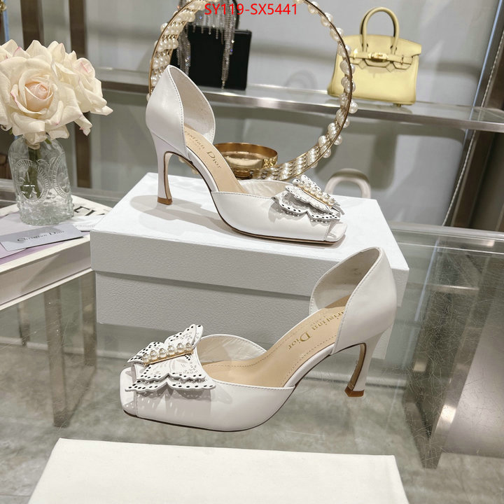 Women Shoes-Dior buy online ID: SX5441 $: 119USD