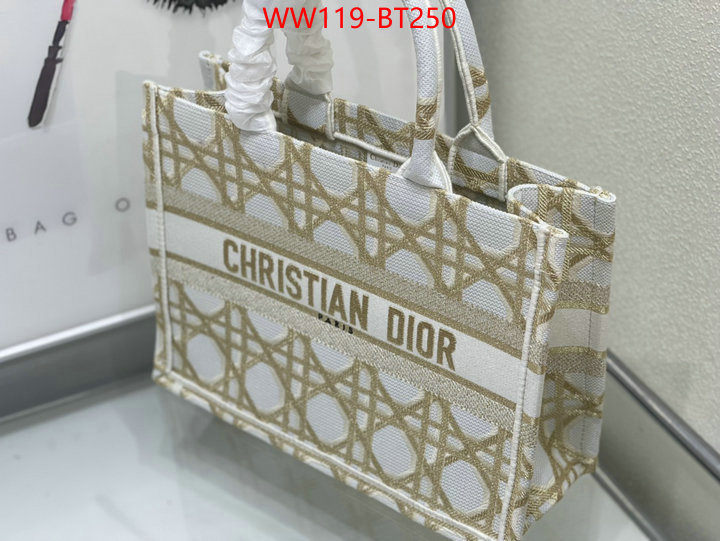 Dior Big Sale ID: BT250