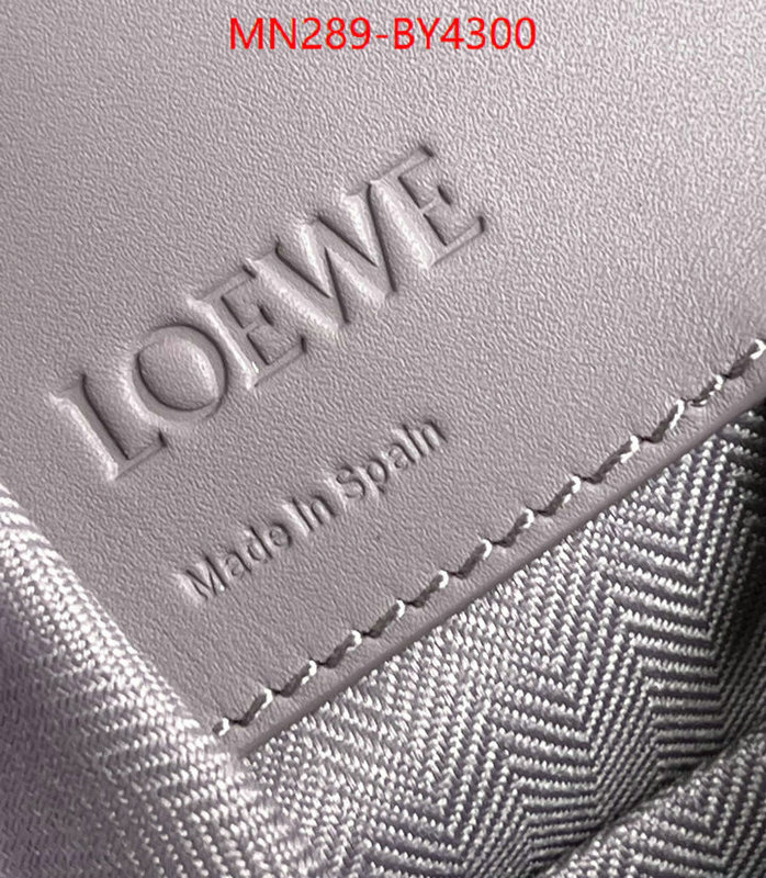 Loewe Bags(TOP)-Hammock fashion replica ID: BY4300 $: 289USD,