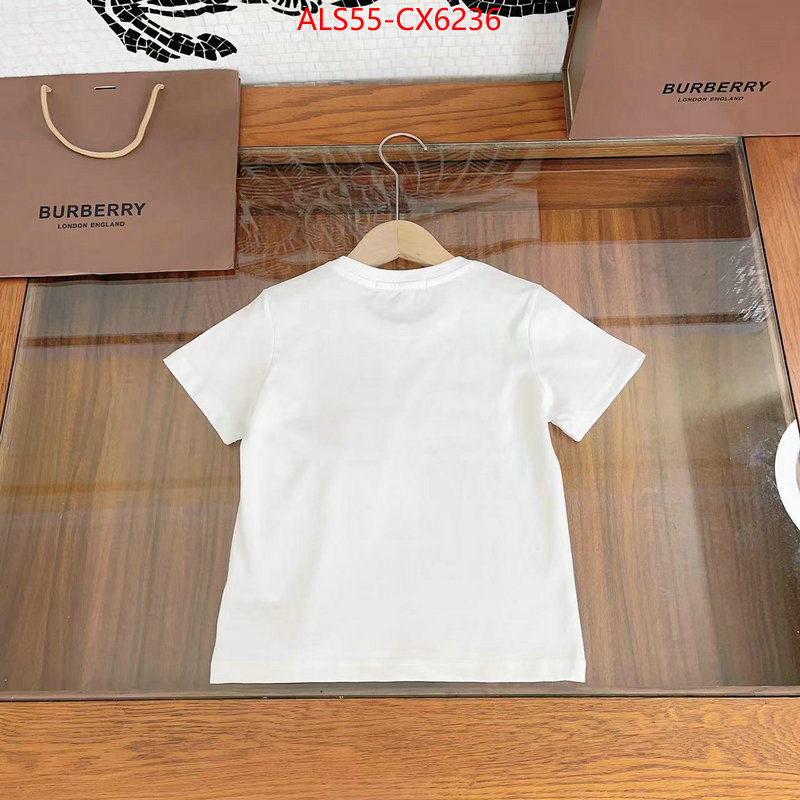 Kids clothing-Burberry what's the best to buy replica ID: CX6236 $: 55USD