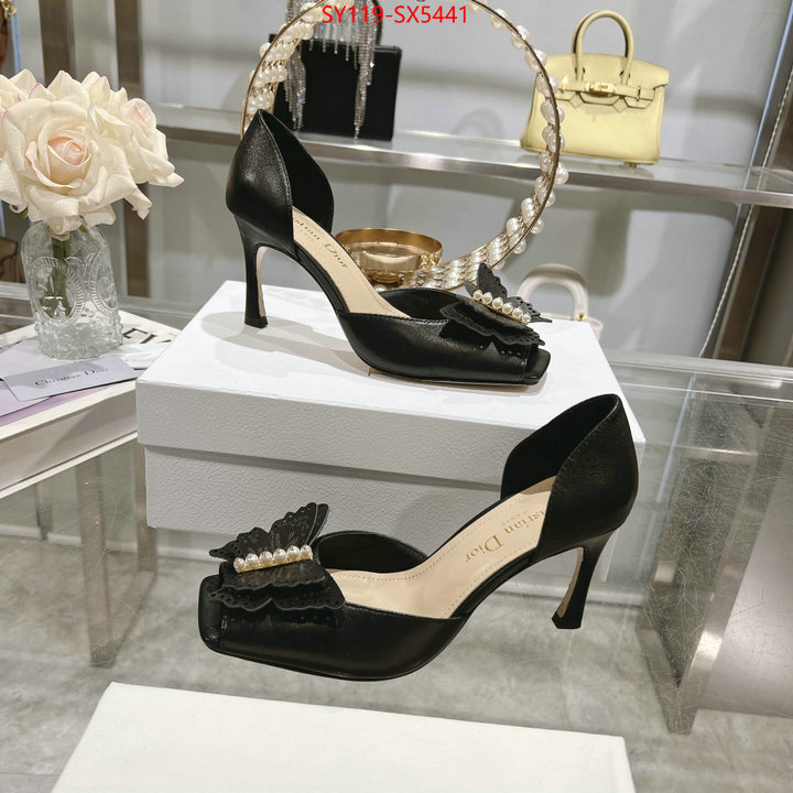 Women Shoes-Dior buy online ID: SX5441 $: 119USD