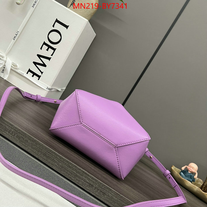 Loewe Bags(TOP)-Handbag- wholesale ID: BY7341 $: 219USD,