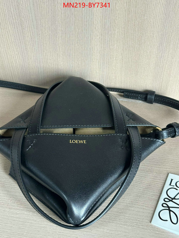 Loewe Bags(TOP)-Handbag- wholesale ID: BY7341 $: 219USD,