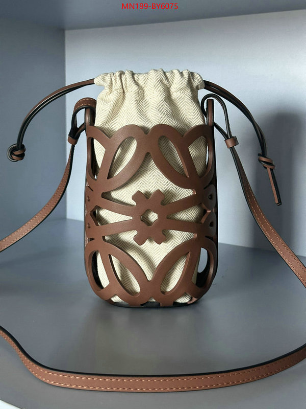 Loewe Bags(TOP)-Diagonal- top quality replica ID: BY6075 $: 199USD,