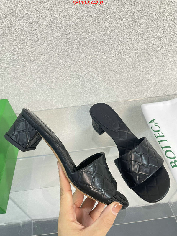 Women Shoes-BV shop designer ID: SX4203 $: 119USD