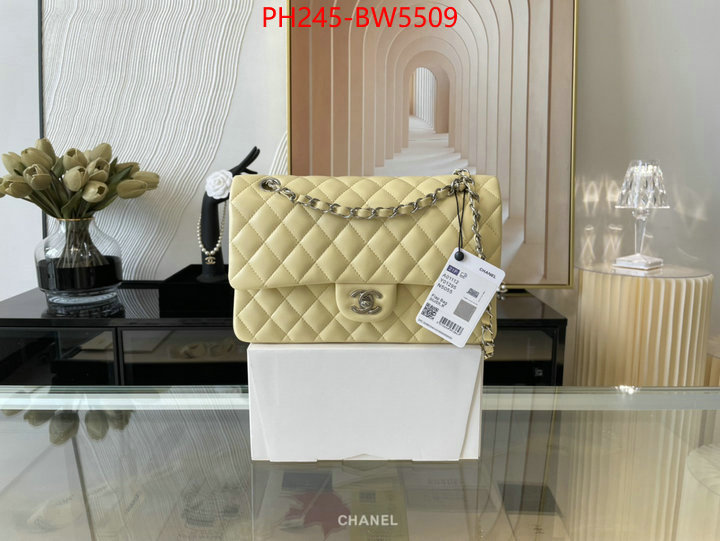 Chanel Bags(TOP)-Diagonal- top designer replica ID: BW5509 $: 245USD,