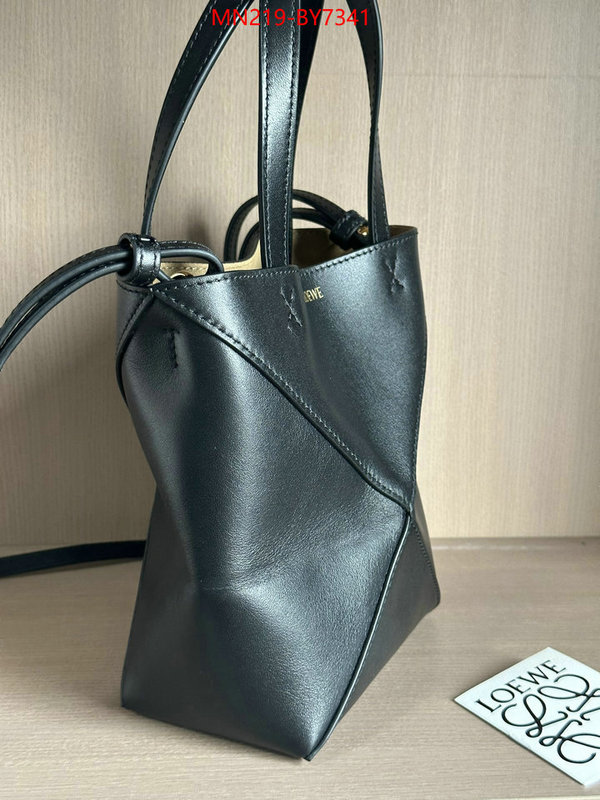 Loewe Bags(TOP)-Handbag- wholesale ID: BY7341 $: 219USD,