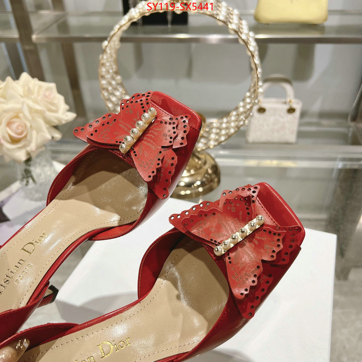 Women Shoes-Dior buy online ID: SX5441 $: 119USD