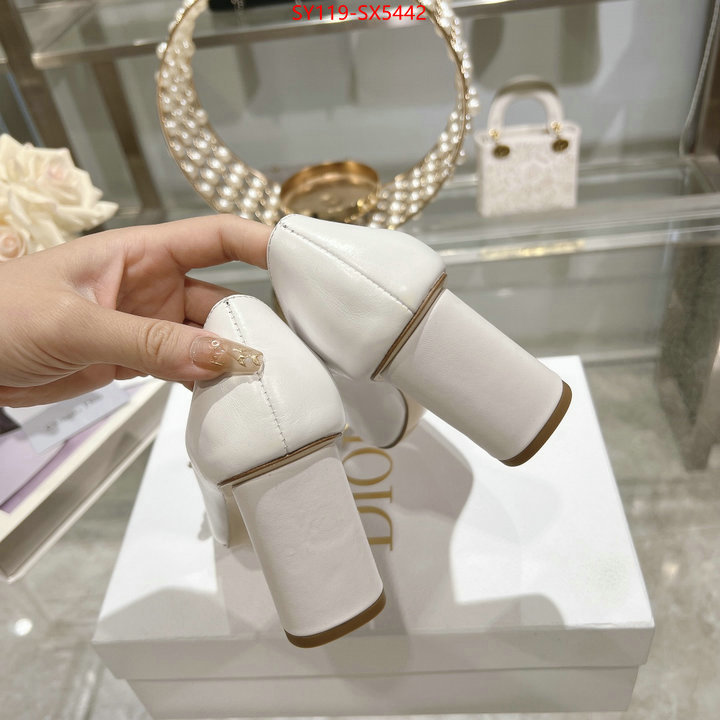 Women Shoes-Dior first top ID: SX5442 $: 119USD