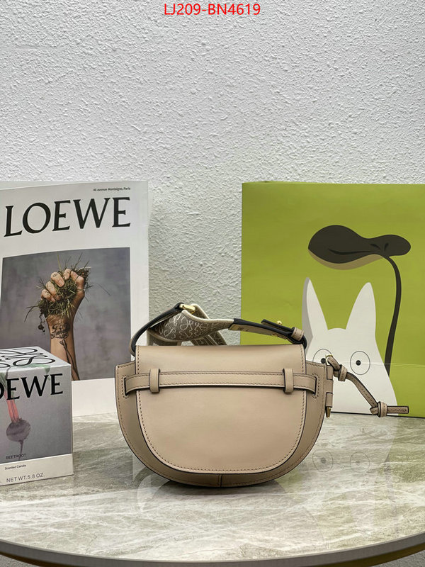 Loewe Bags(TOP)-Gate- at cheap price ID: BN4619 $: 209USD,