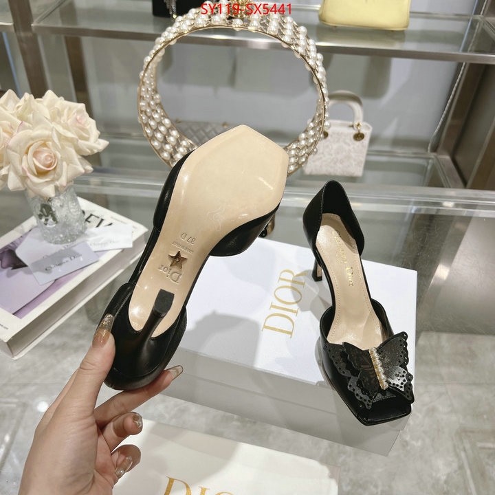 Women Shoes-Dior buy online ID: SX5441 $: 119USD