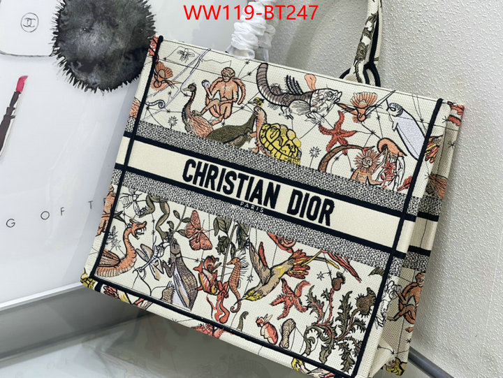 Dior Big Sale ID: BT247